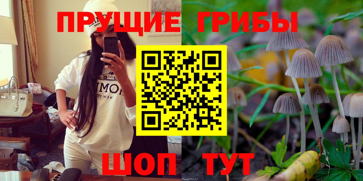 Галлюциногенные грибы Cubensis  Вход с VPN  Псилоцибиновые грибы Psilocybe  Татарск 