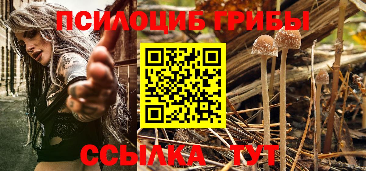 Галлюциногенные грибы мухоморы Татарск